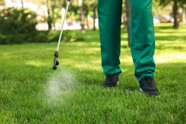 Best Bed Bug Extermination  in Chattahoochee Hills, GA