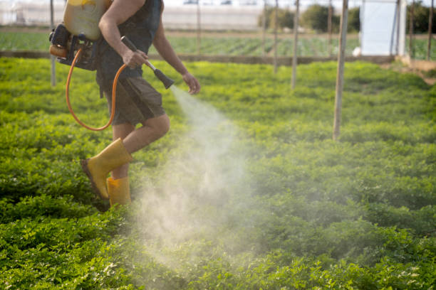 Best Local Pest Control Services  in Chattahoochee Hills, GA