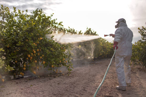 Best Mosquito Control Services  in Chattahoochee Hills, GA