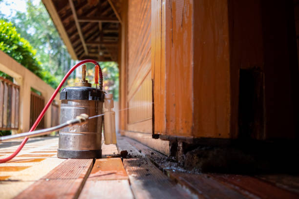 Best Emergency Pest Control  in Chattahoochee Hills, GA