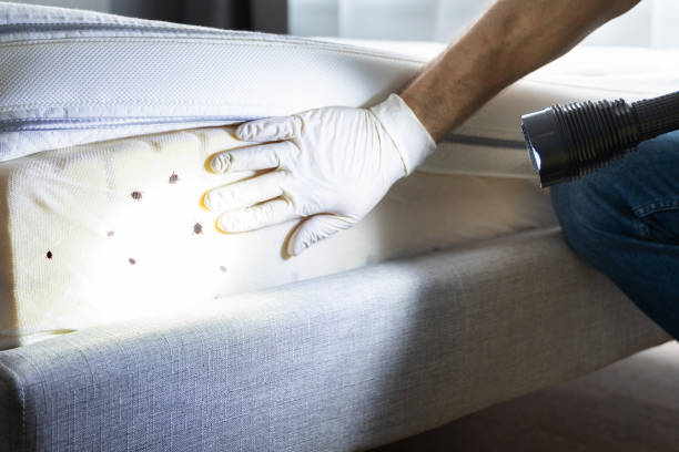 Best Pest Control Treatment  in Chattahoochee Hills, GA