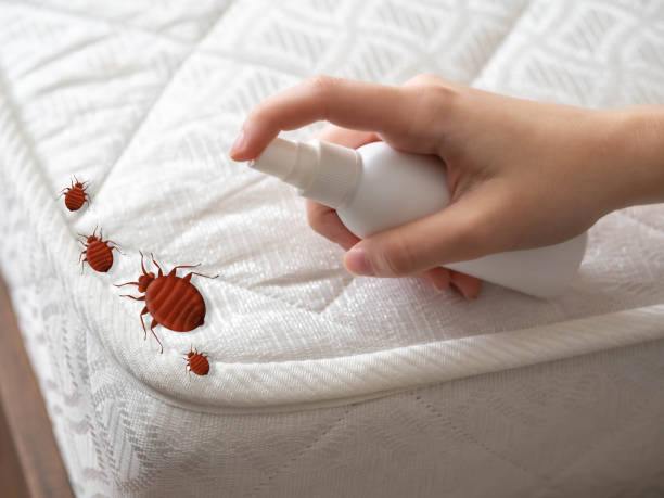 Best Termite Control Services  in Chattahoochee Hills, GA