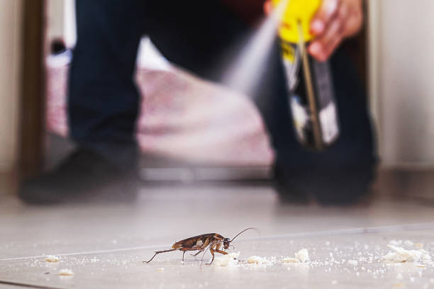 Best Wildlife Control Services  in Chattahoochee Hills, GA