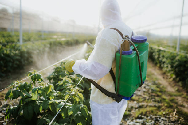 Best Insect Control  in Chattahoochee Hills, GA